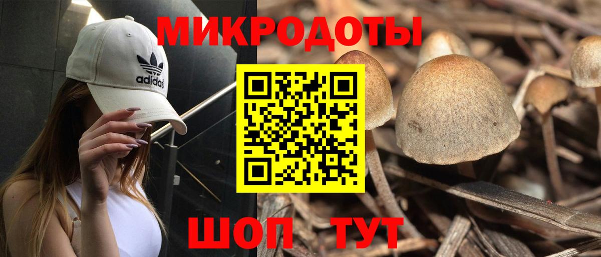 Галлюциногенные грибы Cubensis  Вход с VPN  Псилоцибиновые грибы Psilocybe  Апатиты 