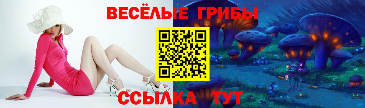 Галлюциногенные грибы MAGIC MUSHROOMS Апатиты